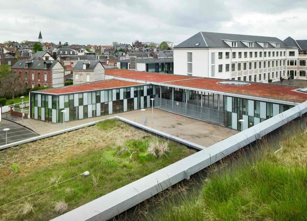 Zaļš jumts izolacijas.lv