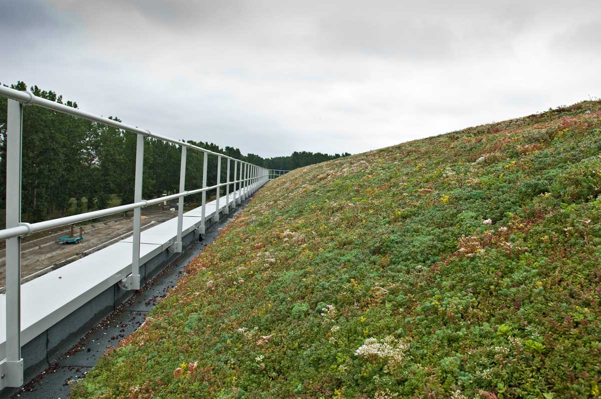 Ekstensīvie zaļie jumti: Tundra sloped