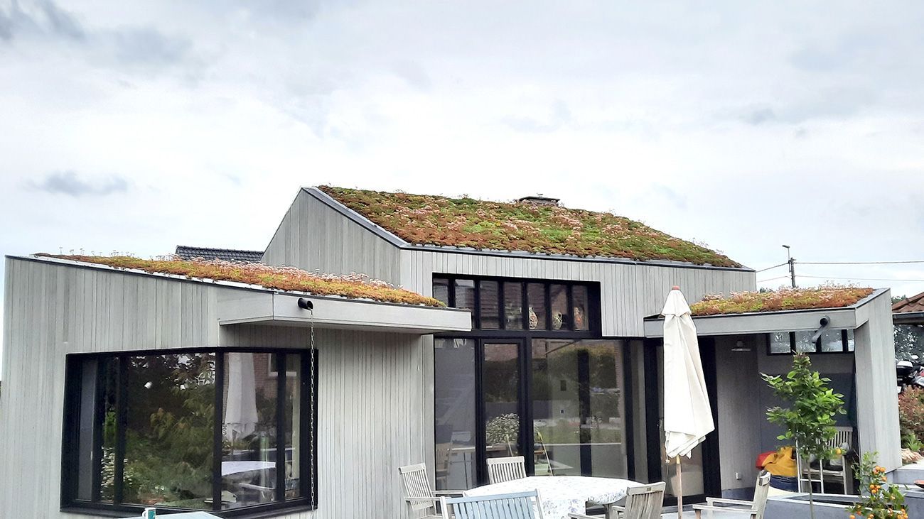 ZAĻIE JUMTI IZOLACIJAS.LV