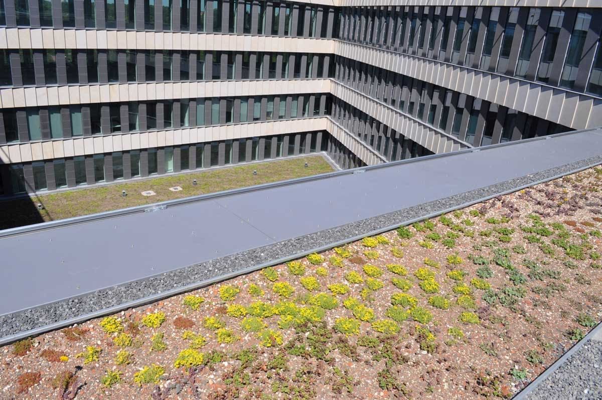 Ekstensīvie zaļie jumti:
Tundra