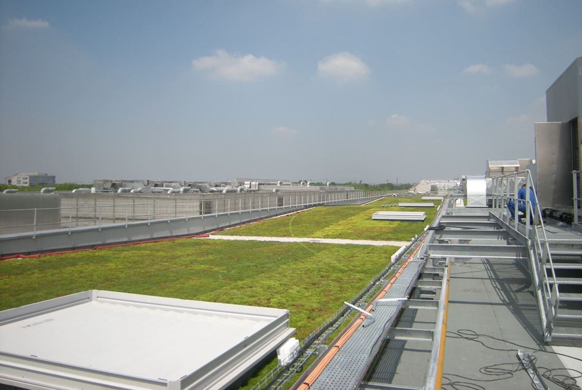 Tundra Light- zaļais jumts