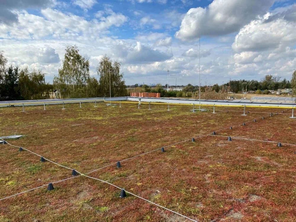 Tundra Light- zaļais jumts