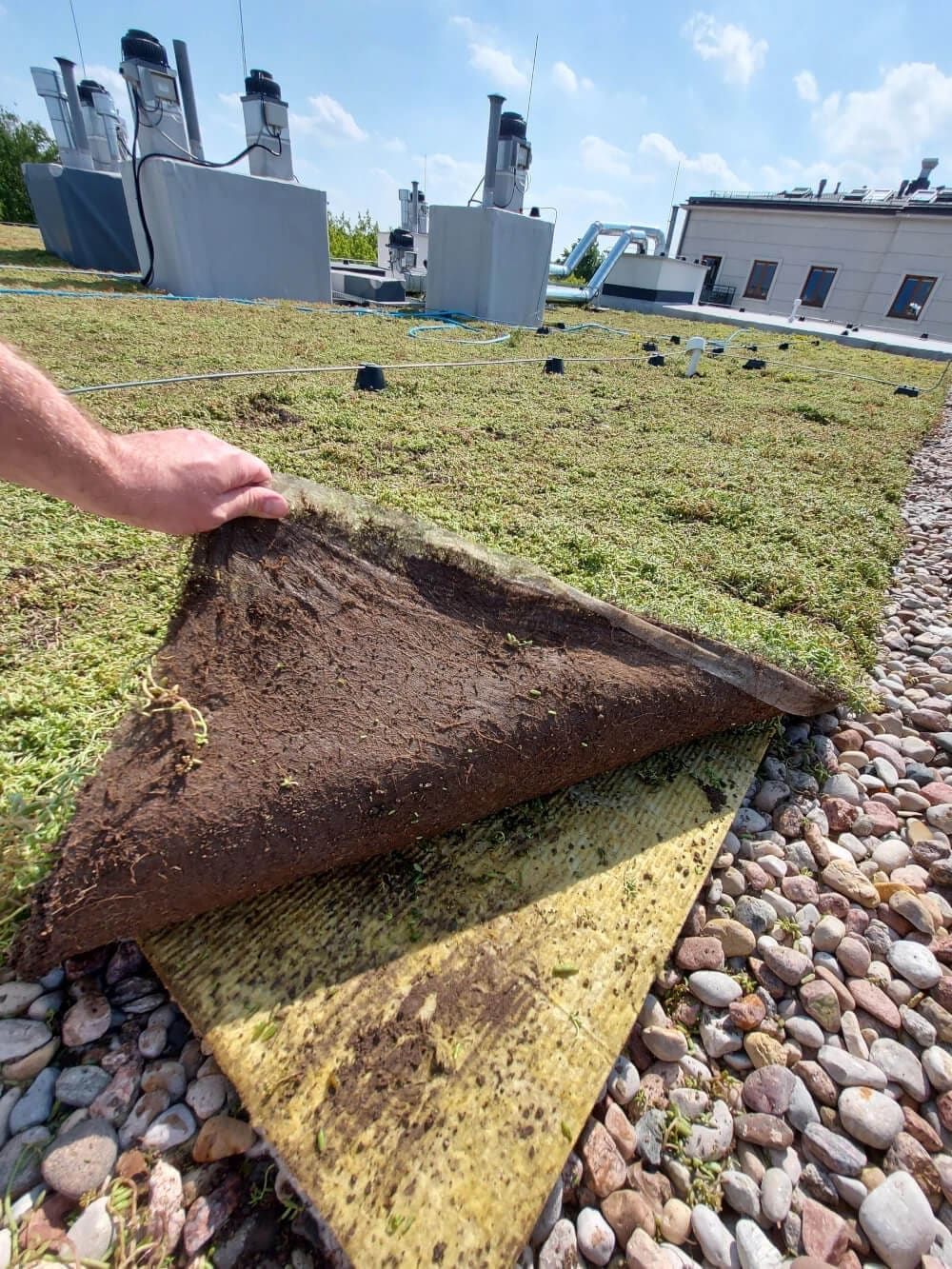 Tundra Light- zaļais jumts