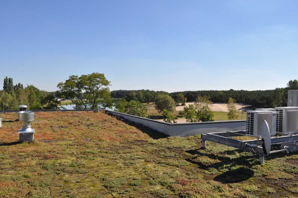 Tundra Light- zaļais jumts