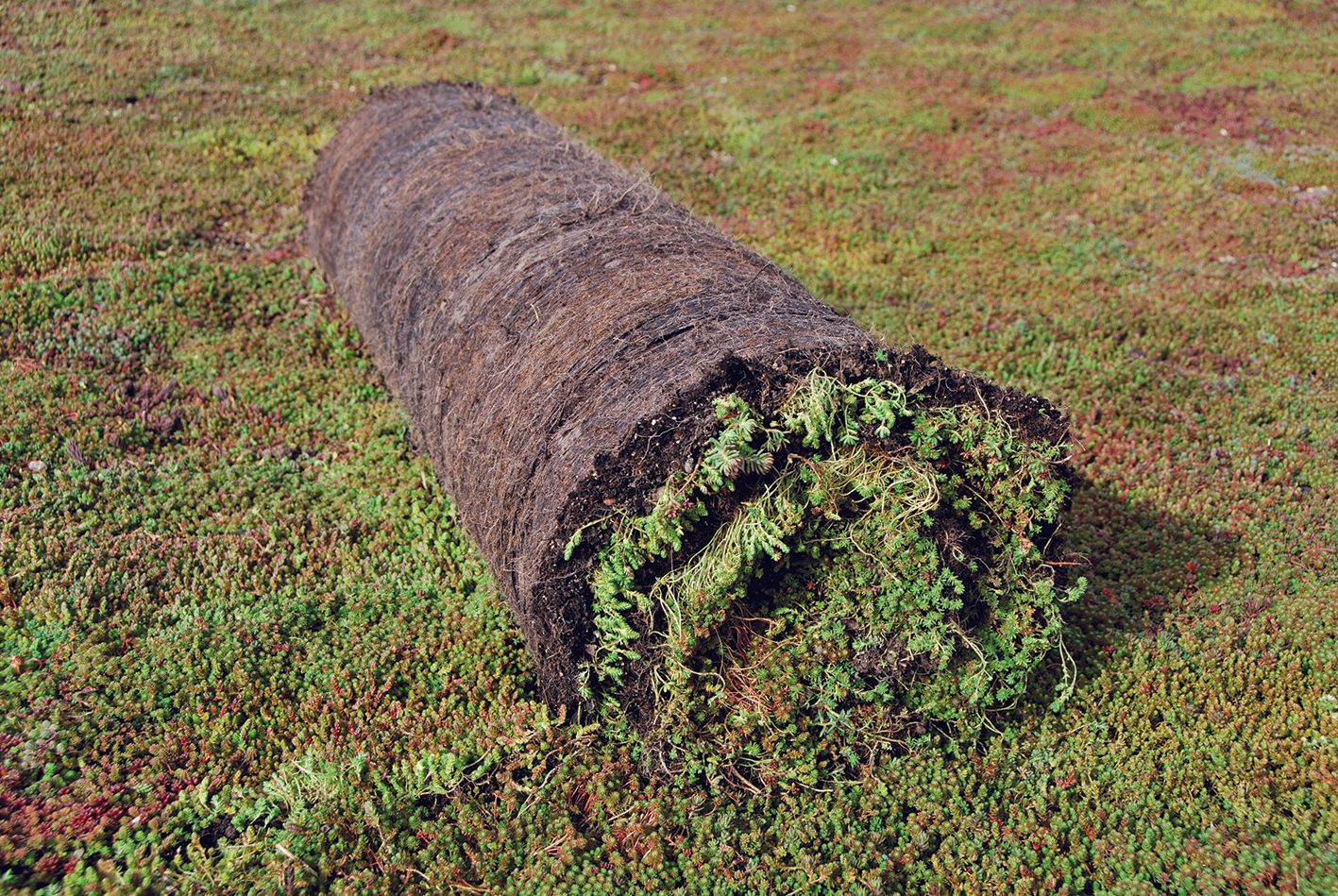 Laimiņu paklājs TUNDRA MATA