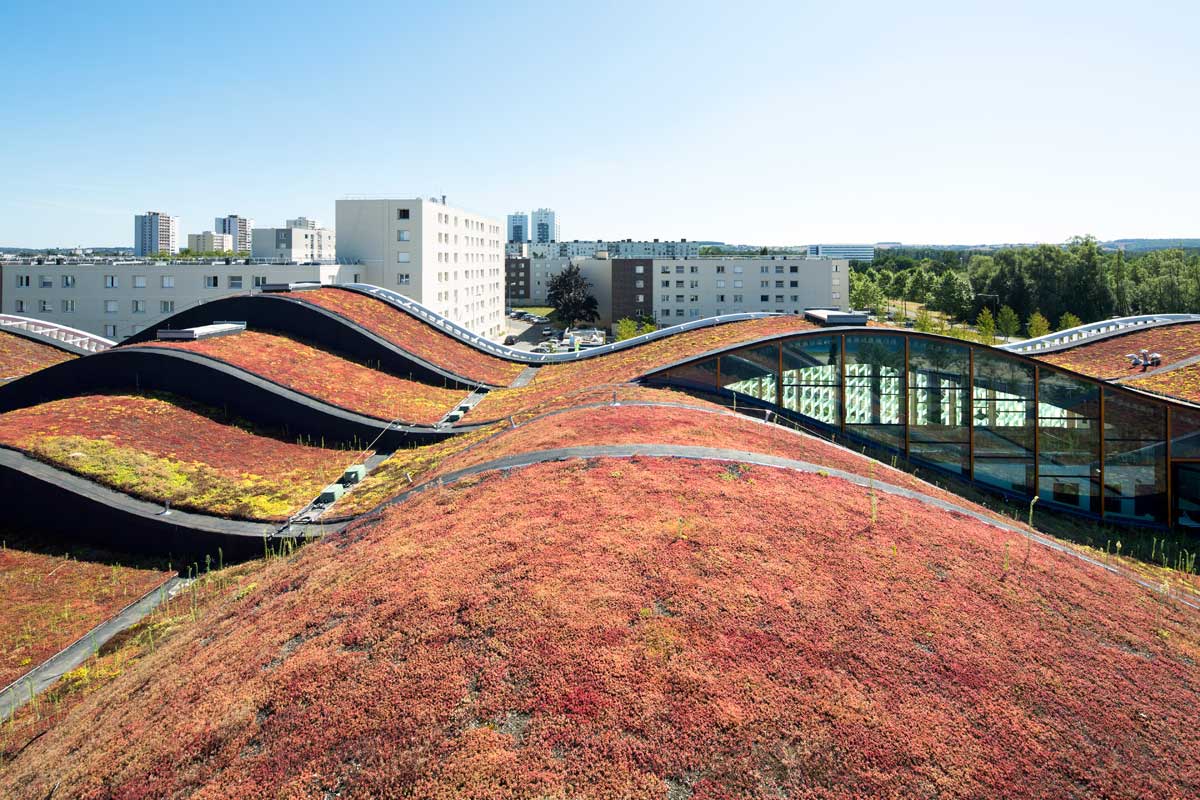 Laimiņu zaļais jumts