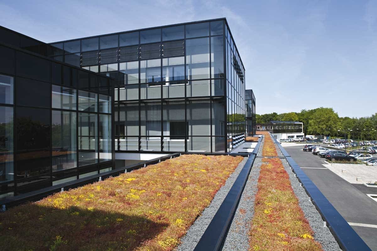 Ekstensīvie zaļie jumti:
Tundra