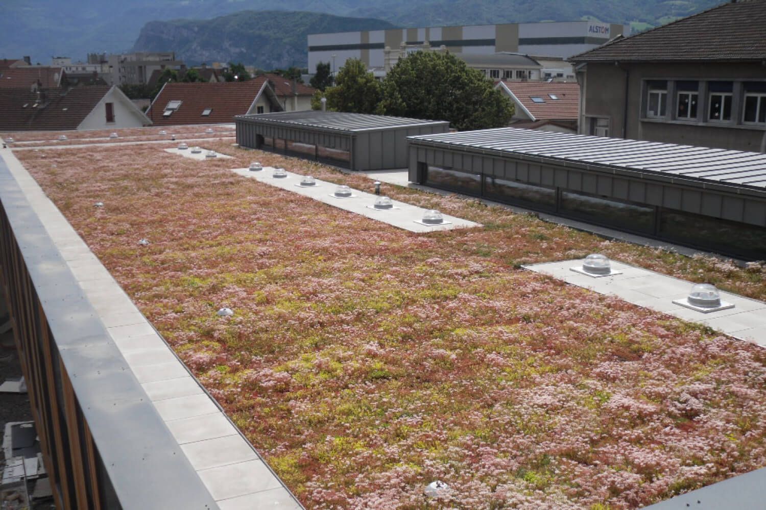 Laimiņu paklājs TUNDRA MATA