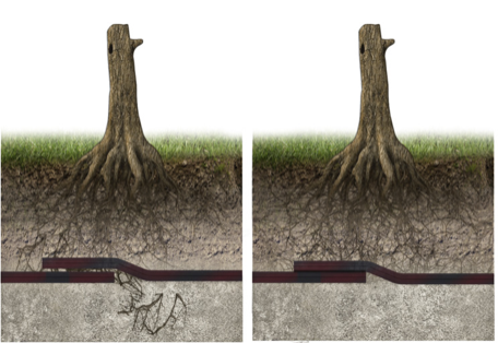 Pretsakņu bitumena hidroizolācija
