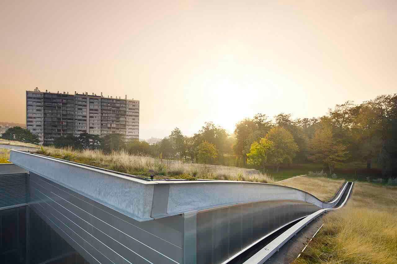 zaļais jumts izolacijas.lv