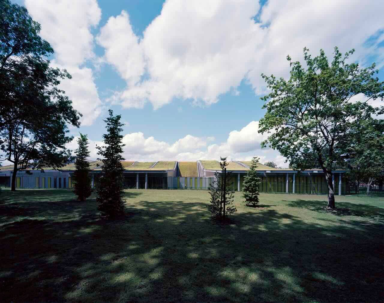 Zaļais jumts izolacijas.lv