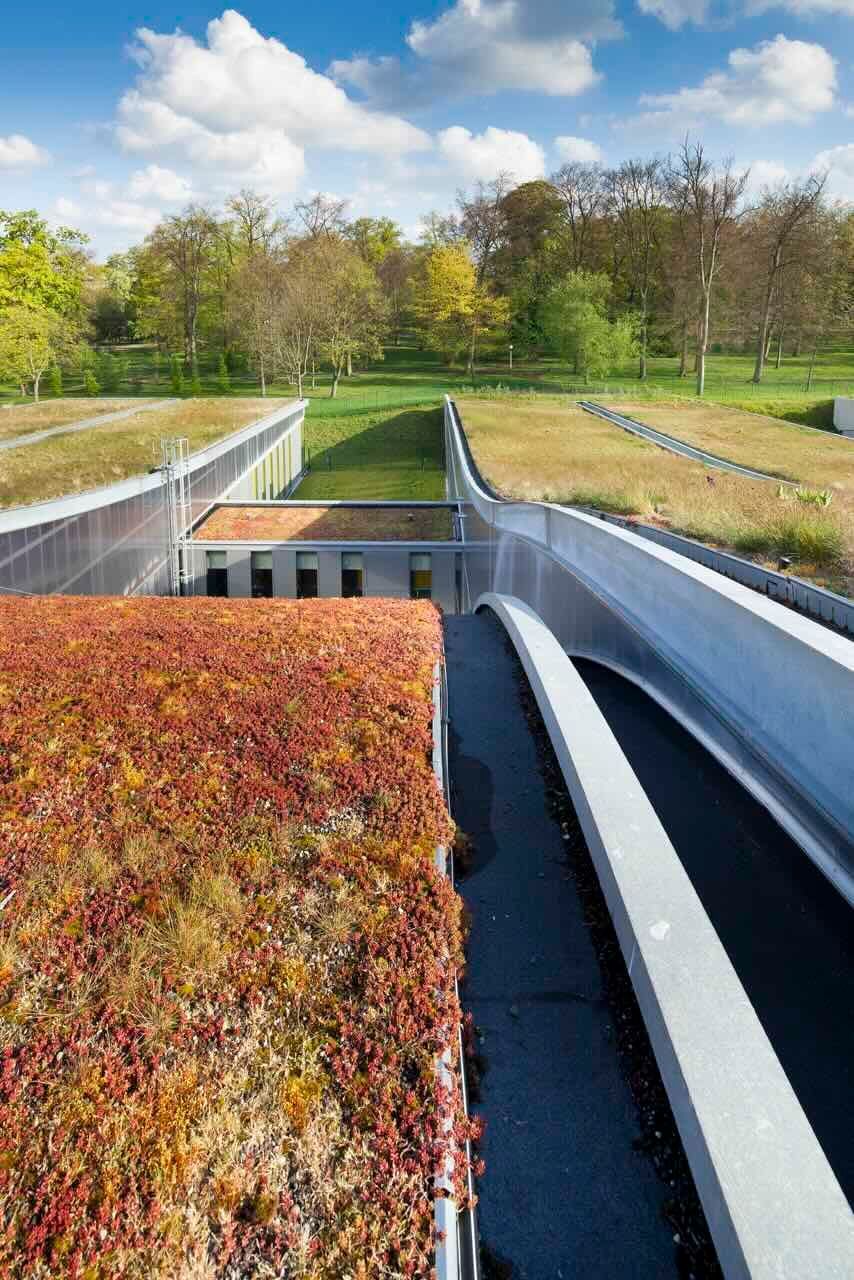 Zaļais jumts izolacijas.lv