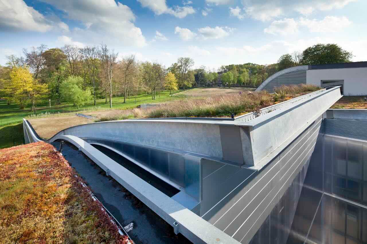 Zaļais jumts izolacijas.lv