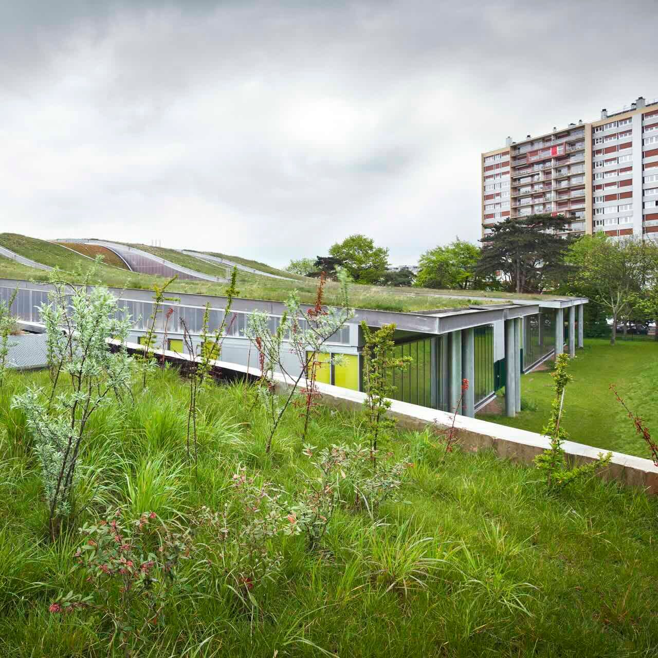 Zaļais jumts izolacijas.lv