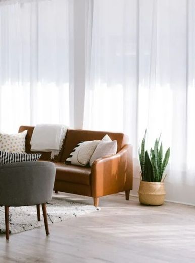 A living room with a couch , chair , and potted plant.