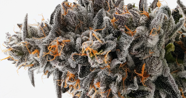 best sativa vape strains Indica vs Sativa