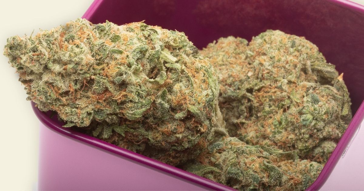 Best Cannabis Strains in 2021