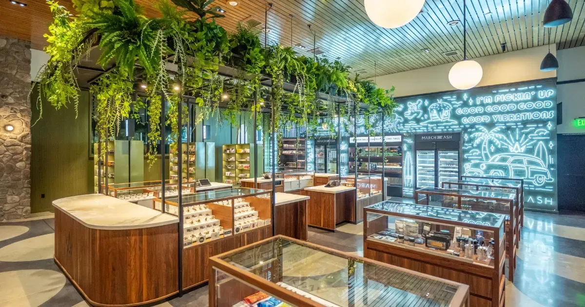 Upscale retail store interior. Wooden displays, hanging plants, and a patterned ceiling.