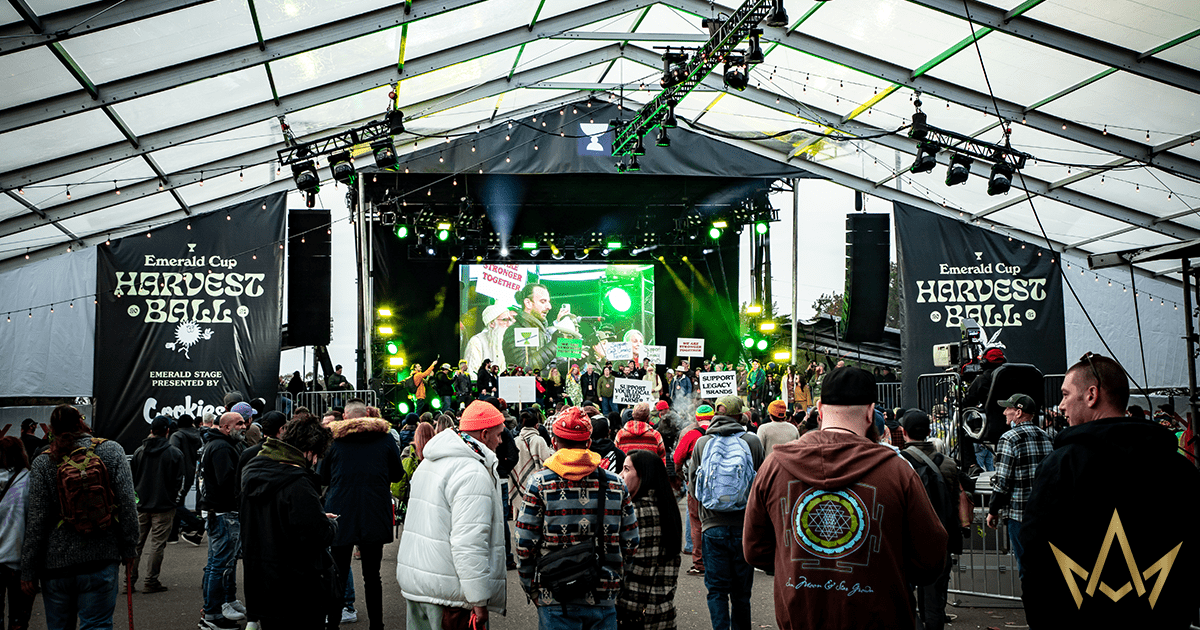 The 2021 Emerald Cup: Harvest Ball