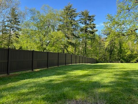 A fence surrounds a lush green field with trees in the background.