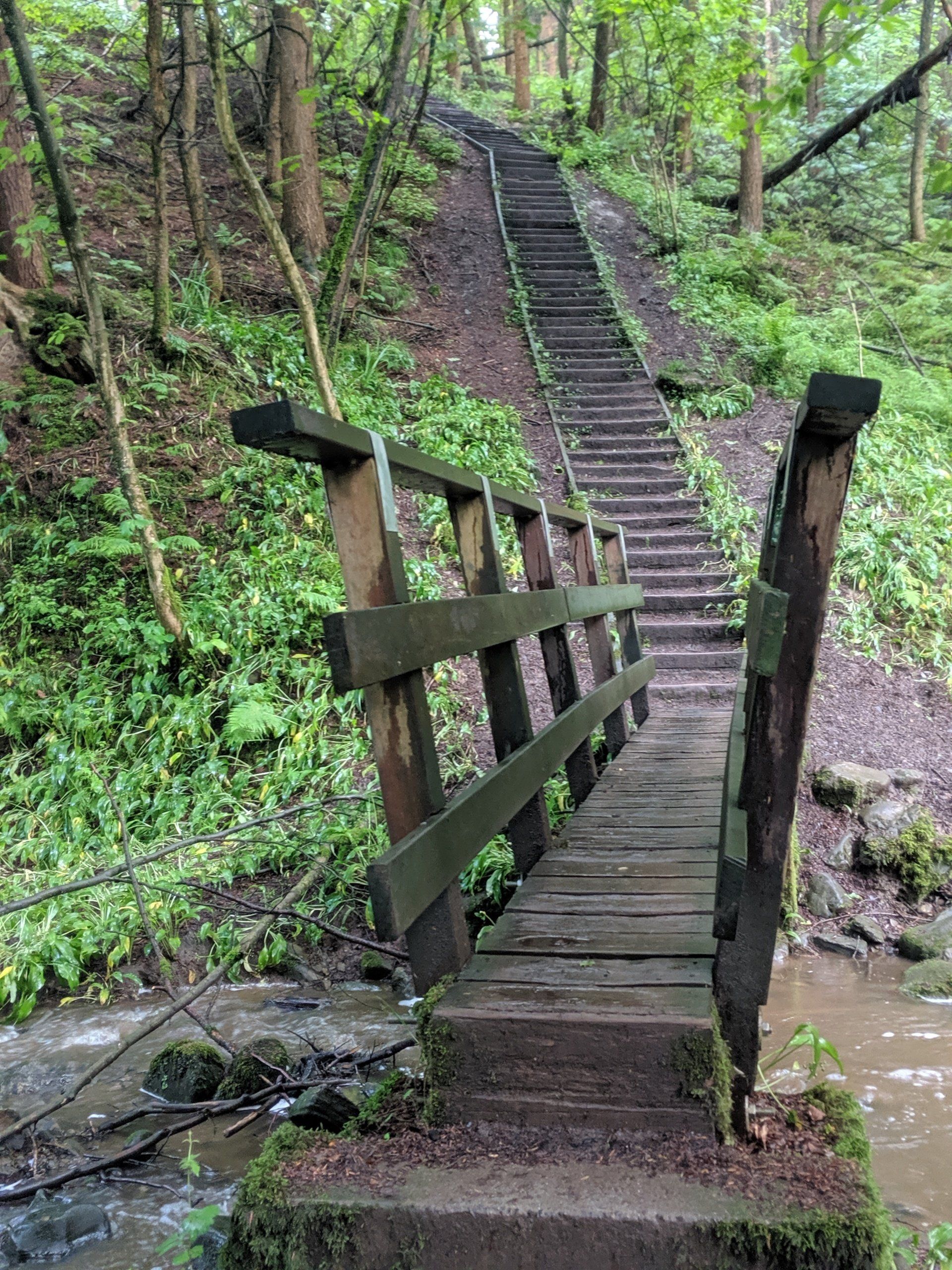 Pennine Trails: The Tolkien Trail Race