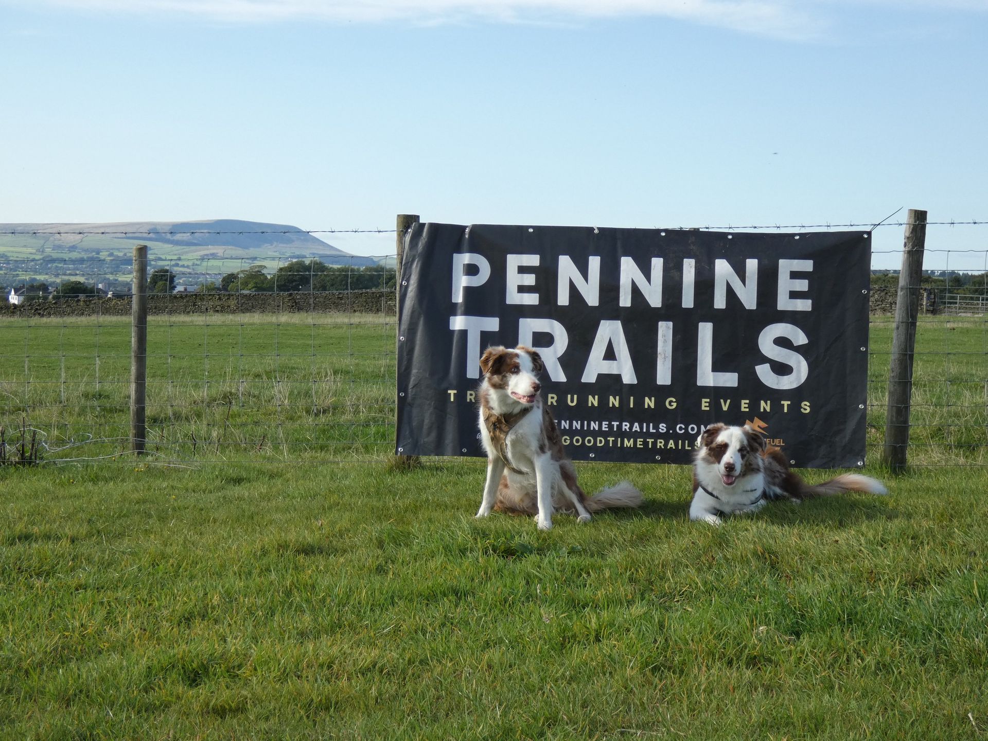 Link to Switchback Valley Trail Race 2022 Photos 