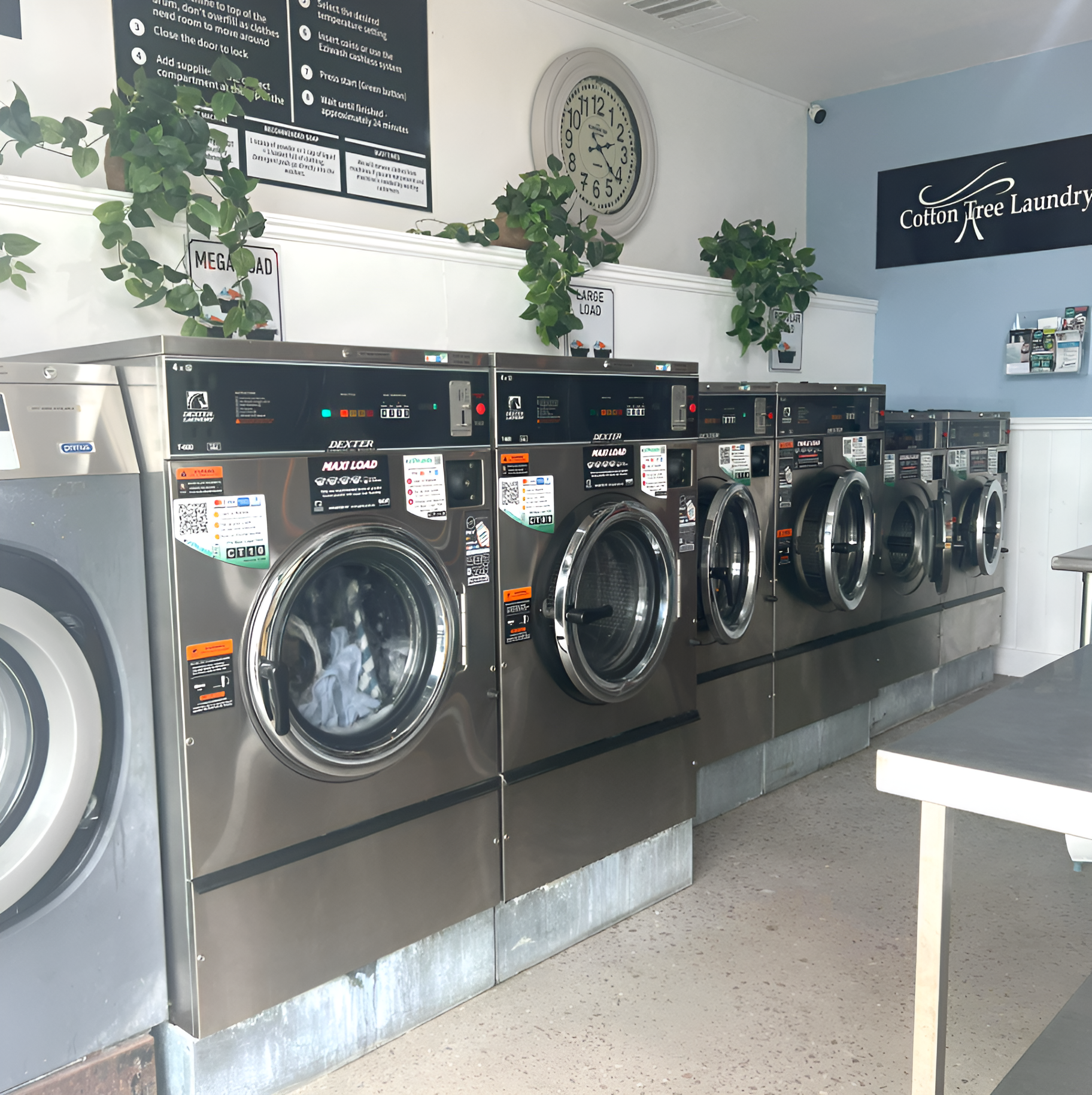 A Laundry Room With A Clock And Plants On The Wall	— The Cotton Tree Laundry In Cotton Tree, QLD