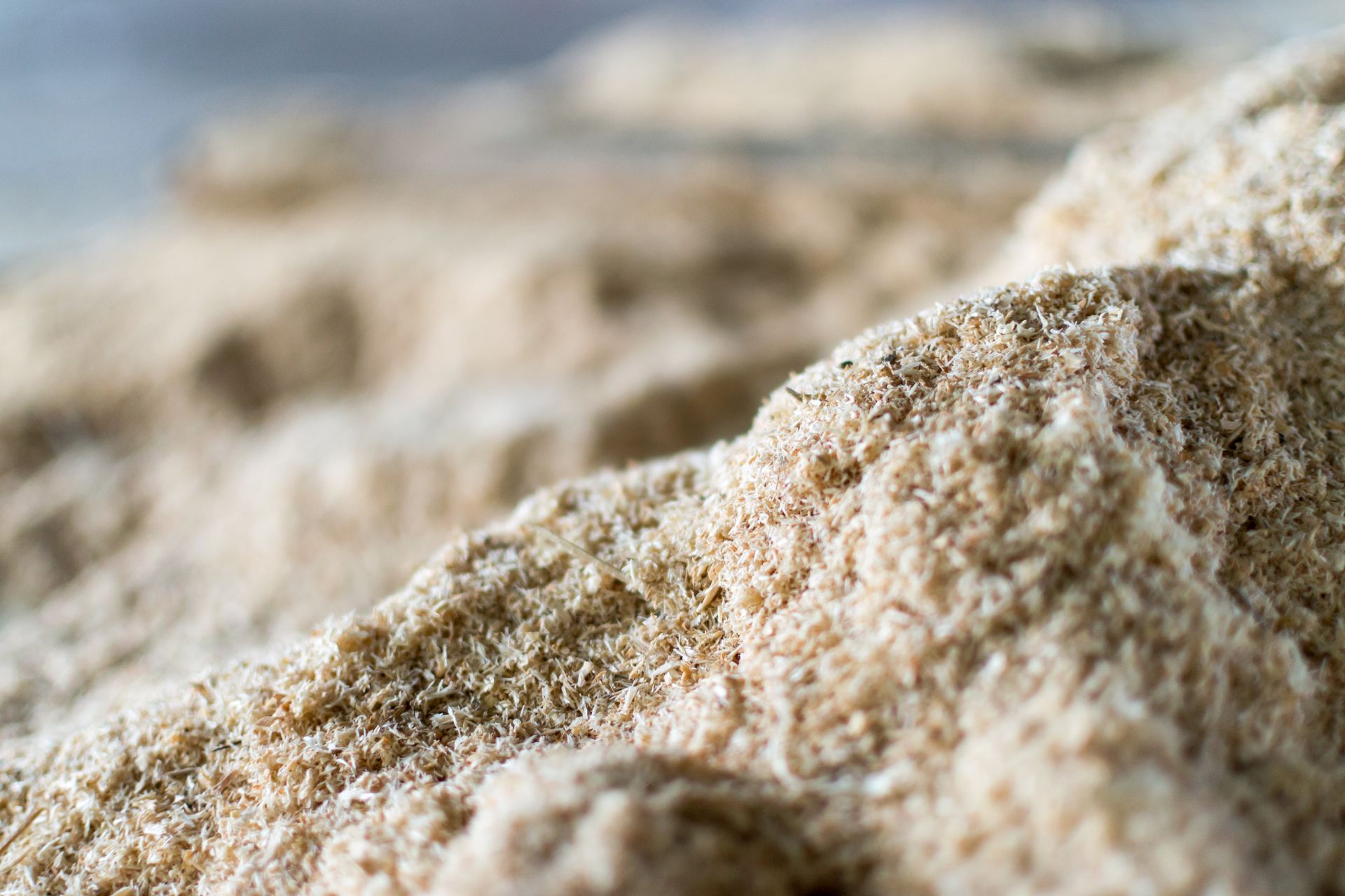 Close-up of light brown sawdust pile.