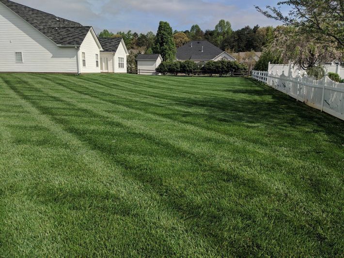Lawn Care Services in Denver, NC
