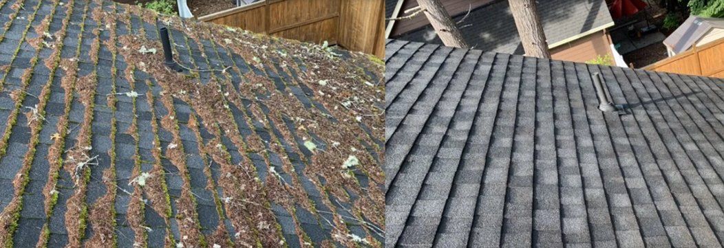 Before and After Roof Cleaning | Eugene, OR | Ace Home Services LLC