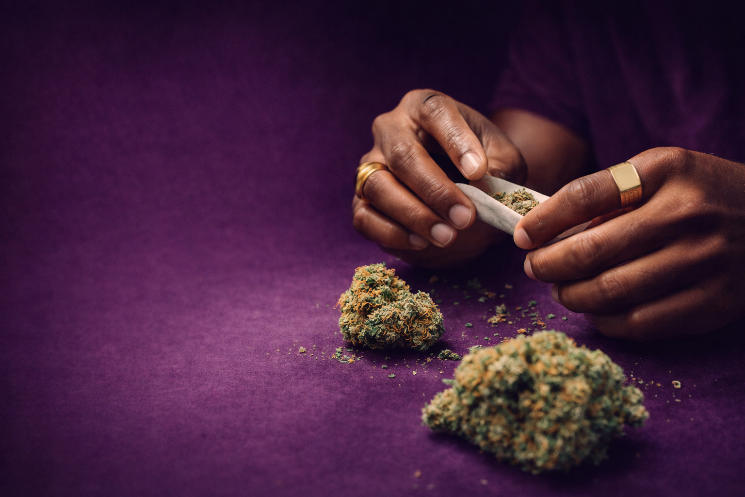 Hands rolling a marijuana joint on a purple surface next to two buds of cannabis.