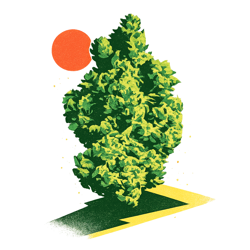 Green cannabis bud with a red sun and yellow shadow.