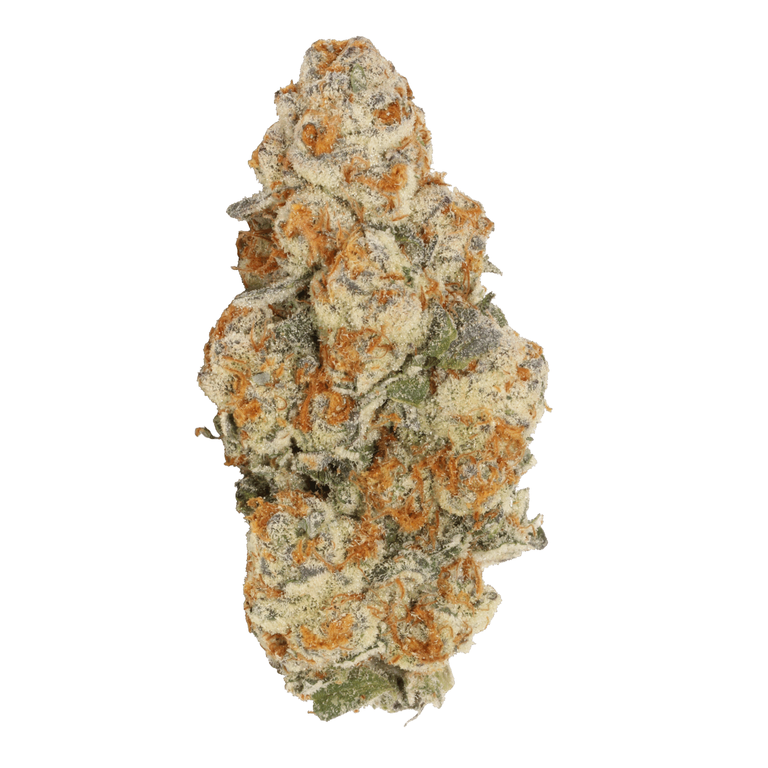 Cannabis bud, light green with orange hairs and white trichomes.