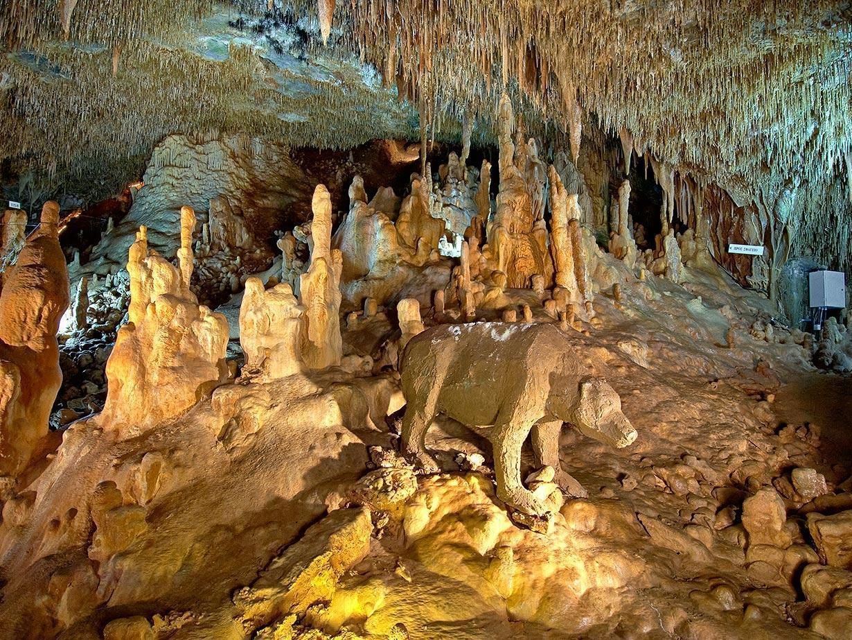 A cave with a statue of a wolf in the middle of it.