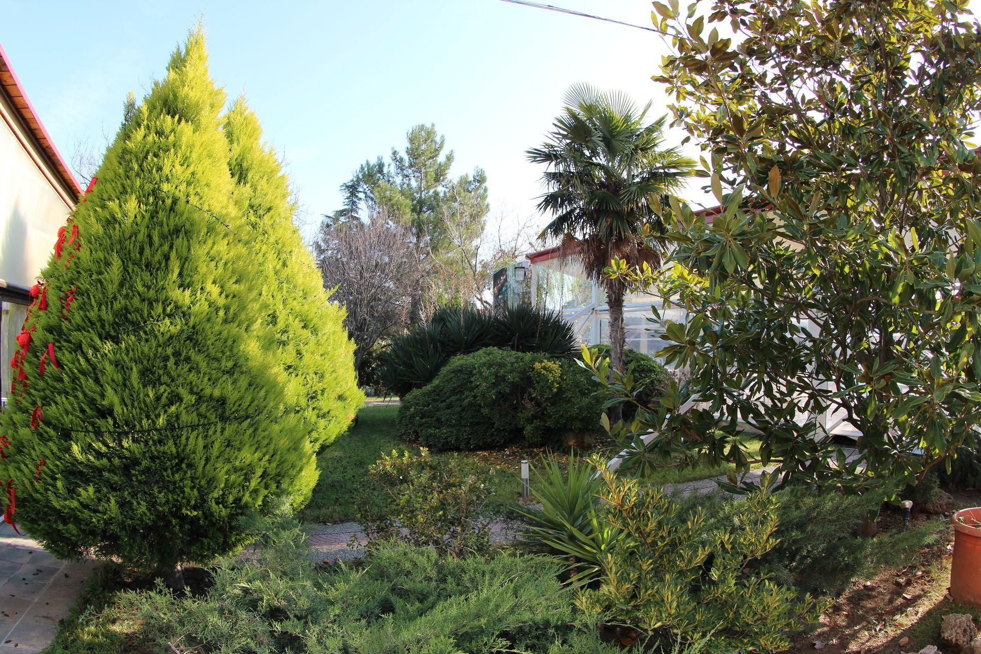 A lush green garden with trees and bushes in front of a house.