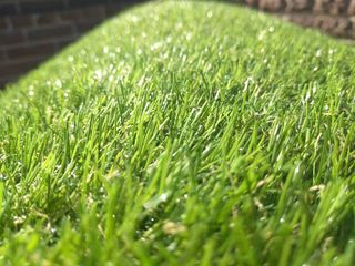 A close up of a patch of green grass with water drops on it.