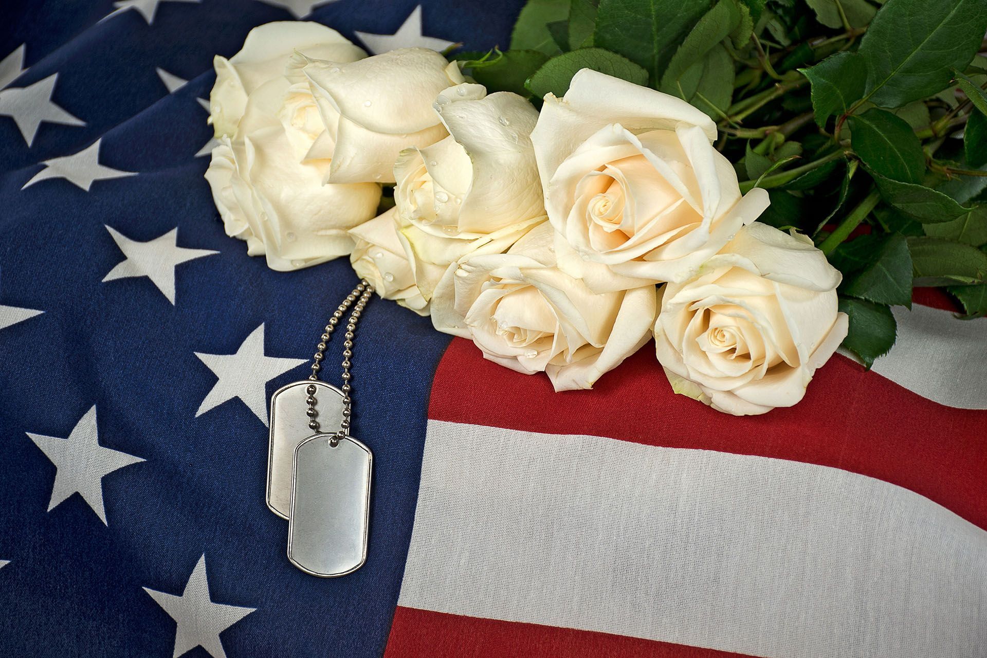 A bunch of white roses are laying on top of an american flag.