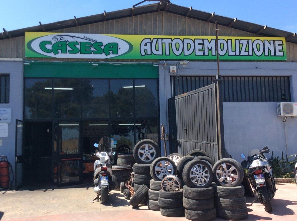 ingresso autodemolizione casesa