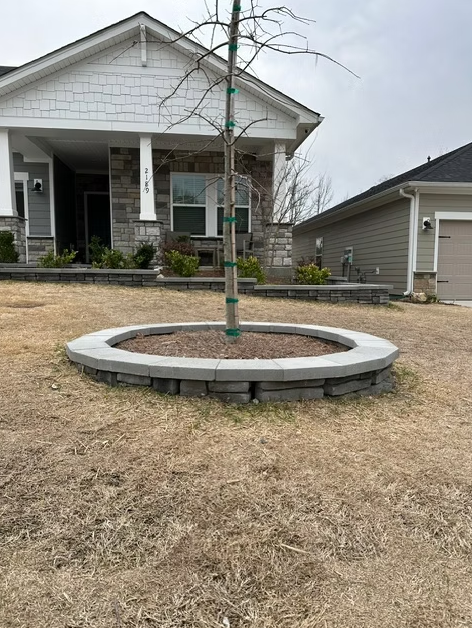 A tree in a circular stone planter in front of a house on a cloudy day.