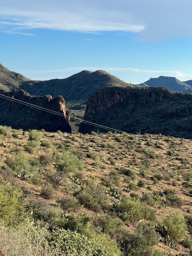 A desert landscape with mountains in the background