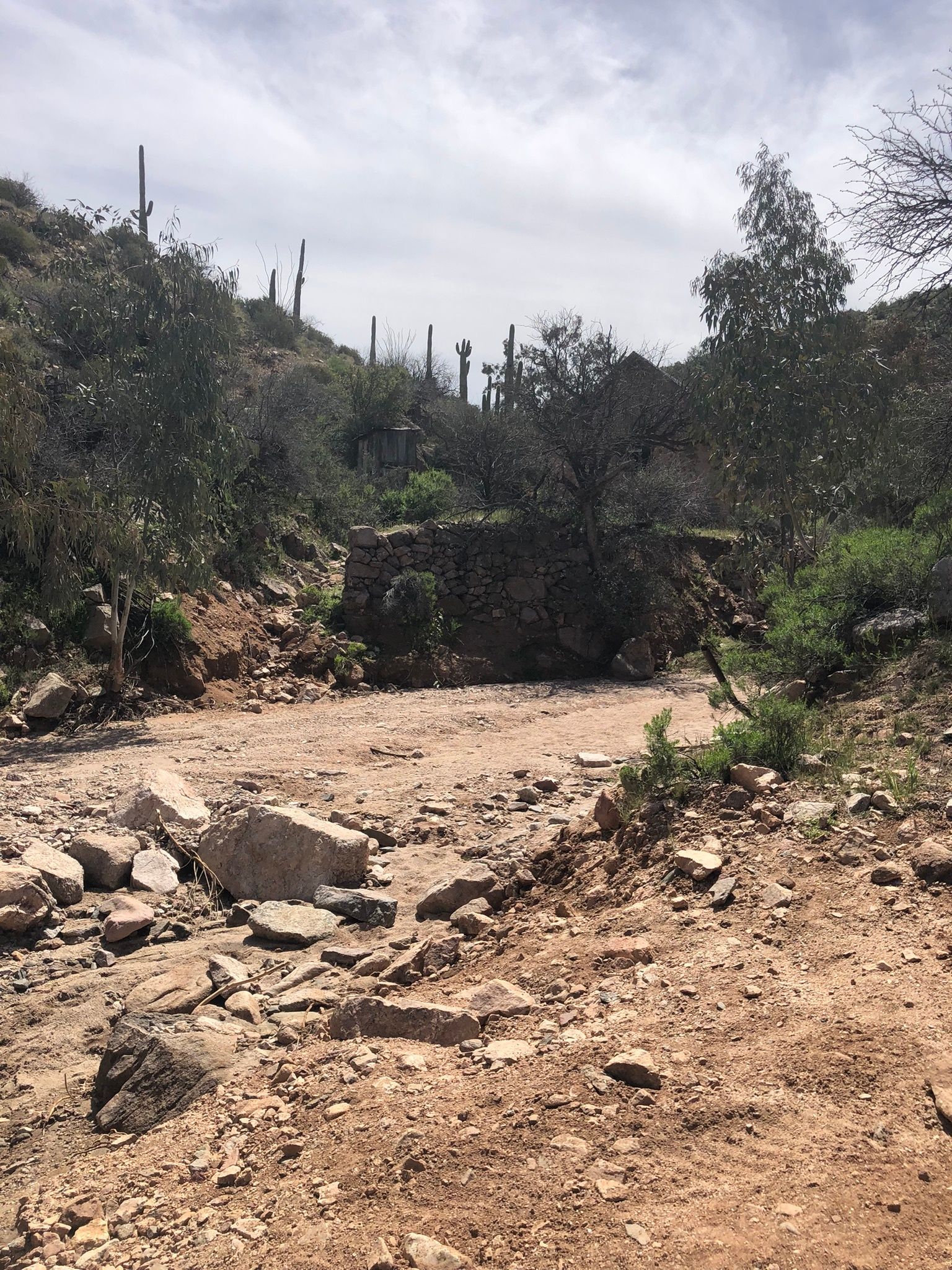 A dirt road with rocks and trees in the background.
