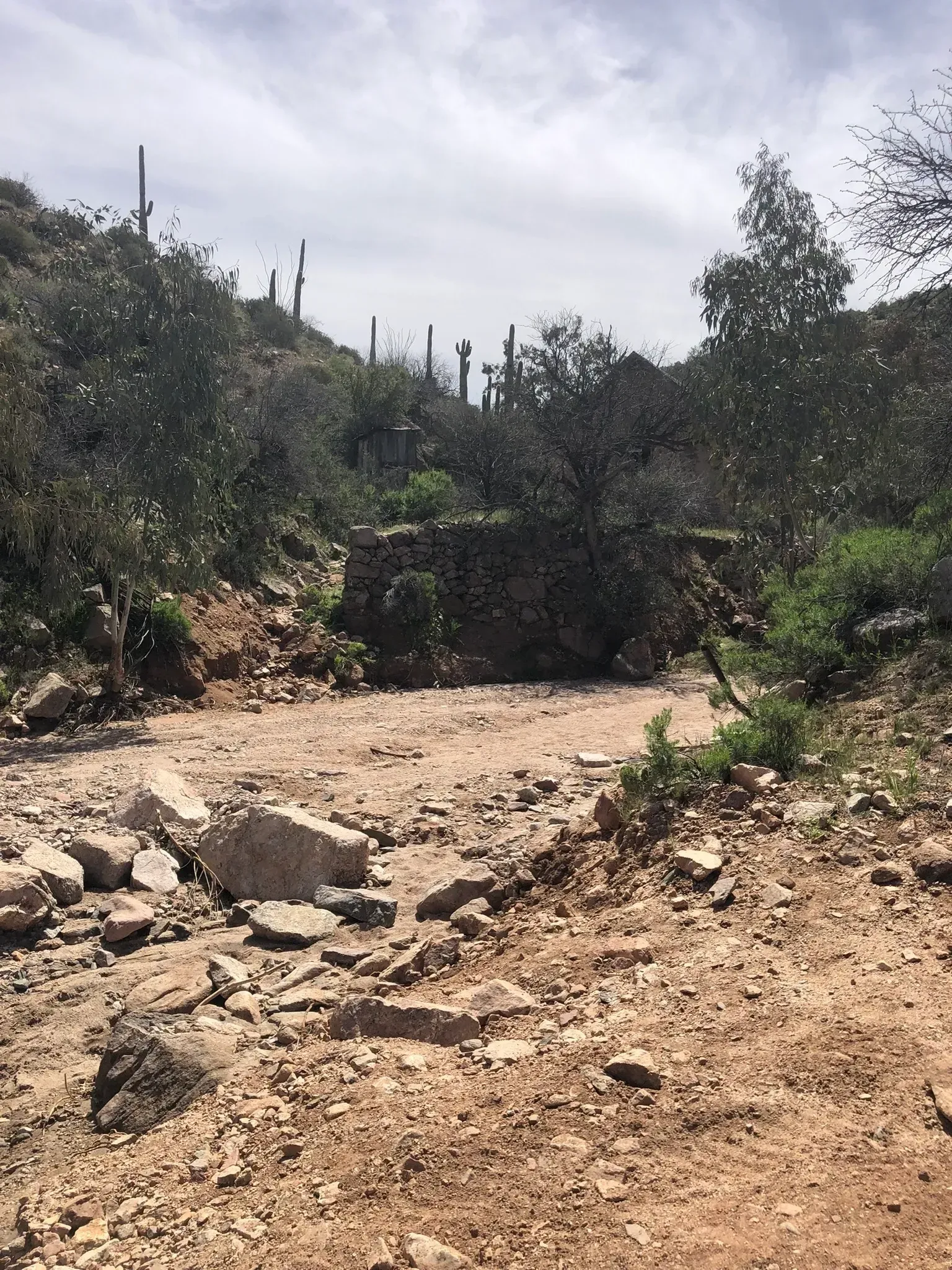 A dirt road with rocks and trees in the background.