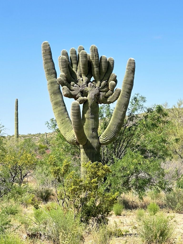 A group of atvs are parked in a parking lot.