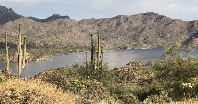 There is a lake in the middle of the desert with mountains in the background.