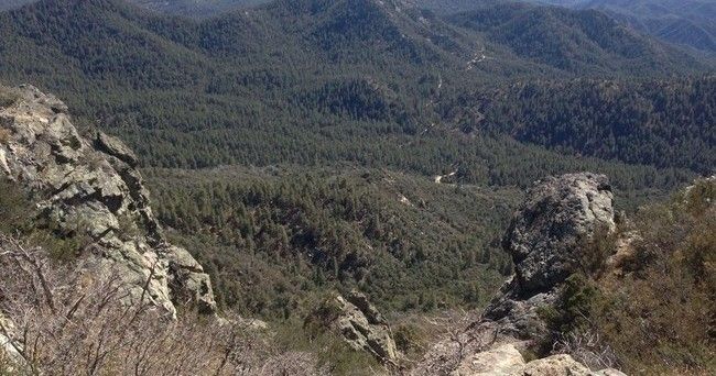 A view of a mountain range with trees and rocks in the foreground.