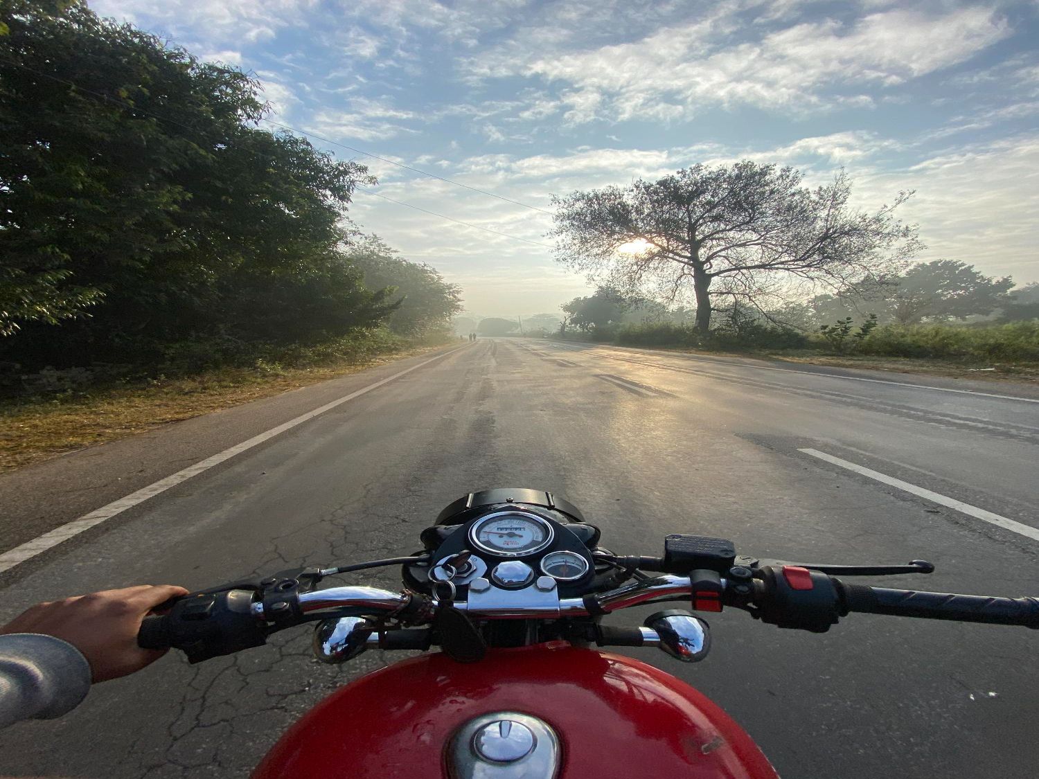 A woman is kneeling down next to a damaged car and looking at her phone.