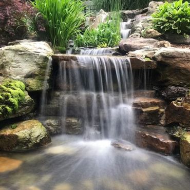 Small waterfall cascading over rocks into a pond, surrounded by lush green plants