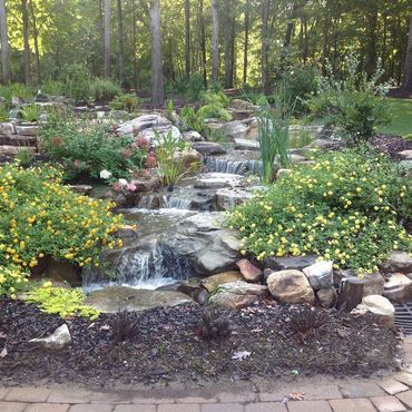 Landscaped garden with a small rock waterfall, yellow flowers, and tall trees in the background
