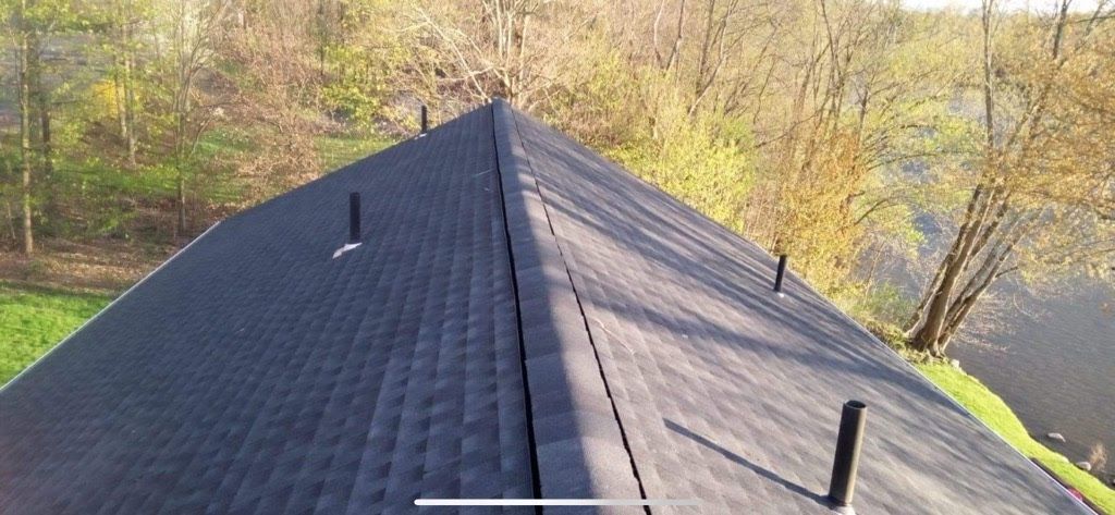 A close up of a roof with trees in the background.