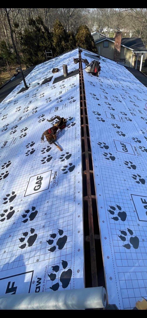 A dog is laying on top of a roof with paw prints on it.